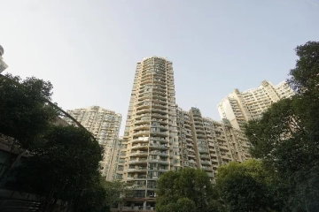 达安花园(4)