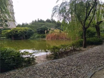 大唐盛世花园二期(3)