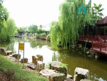 大豪山林别墅(4)
