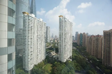 上海鹏利辉盛阁公寓(3)