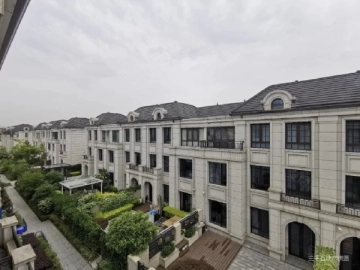 灿辉晶典1733(2)