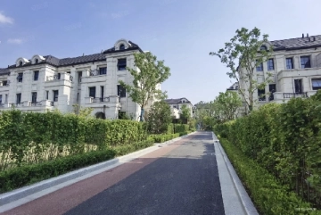 灿辉晶典1733(3)