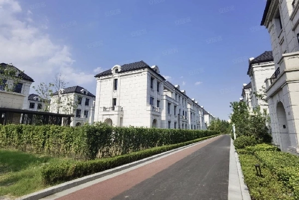 灿辉晶典1733(4)