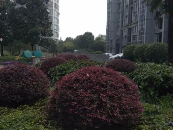 涵碧景苑(4)