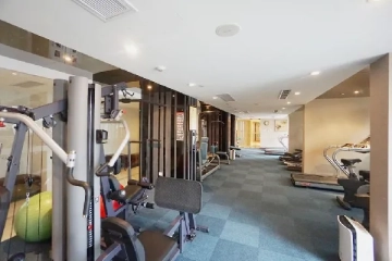 静安8号(3)