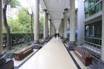 东方莱茵(3)