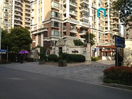 金色贝拉维(6)