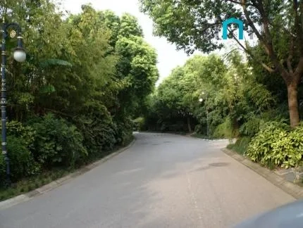圣堡别墅(9)