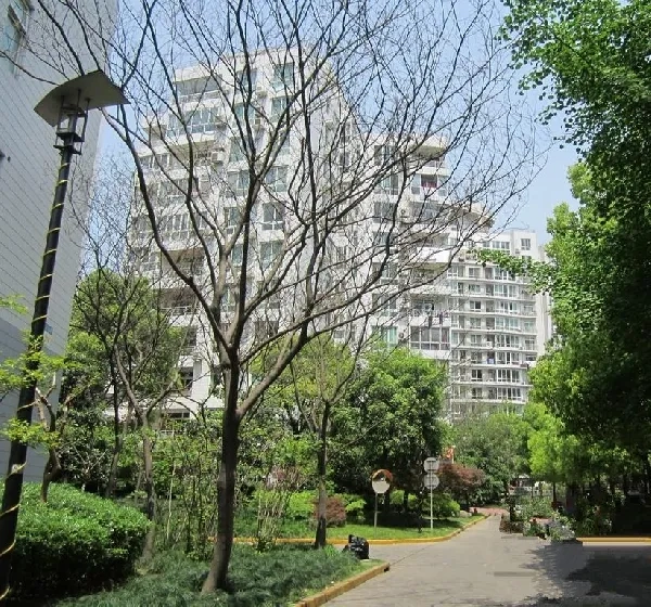 陆家嘴花园(2)
