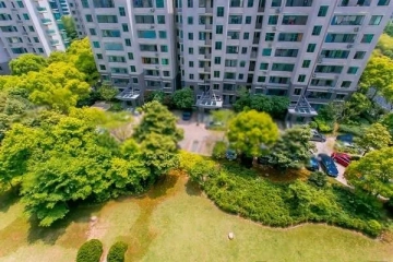 陆家嘴花园(3)