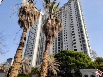卢湾都市花园(2)