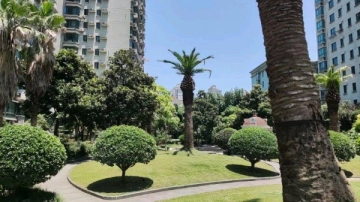 卢湾都市花园(3)