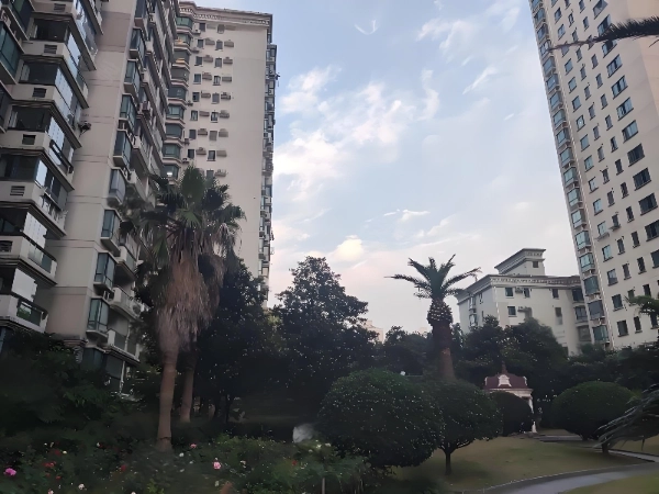 卢湾都市花园(5)