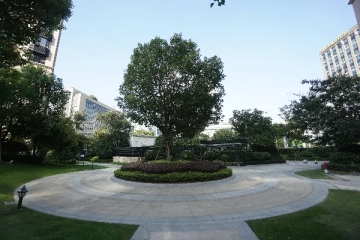 中信君廷(5)