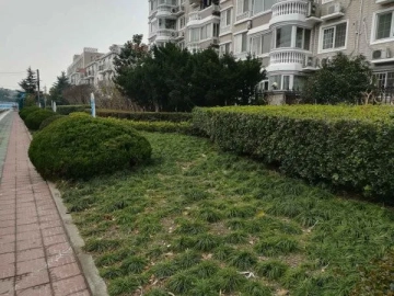 虹桥花苑(3)