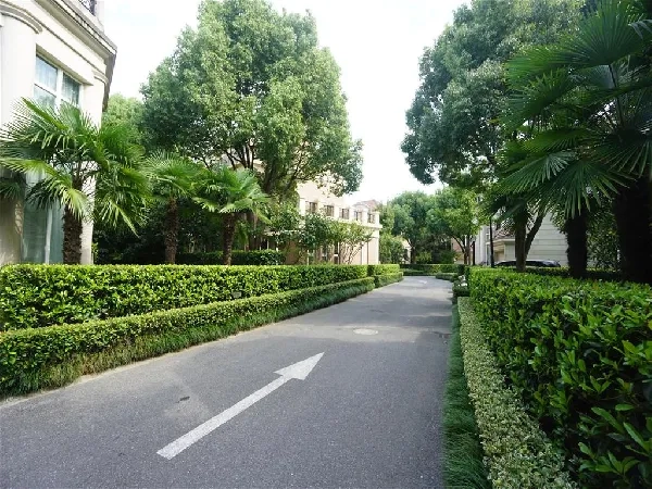 御锦苑(3)