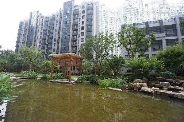 苏河融景(2)