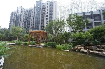 苏河融景(2)