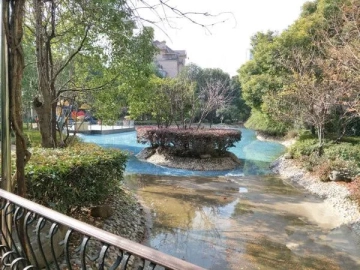 上海滩花园洋房(3)