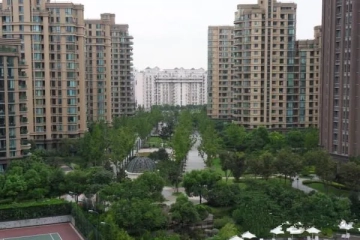 上海绿城(2)
