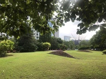 上海之窗御景园(5)