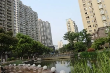 盛世年华(2)