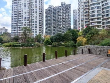 新湖明珠城一期(4)