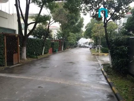 新律花园(4)
