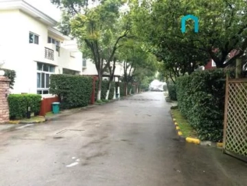 新律花园(5)