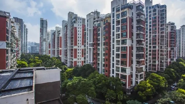 世纪同乐