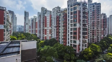 世纪同乐