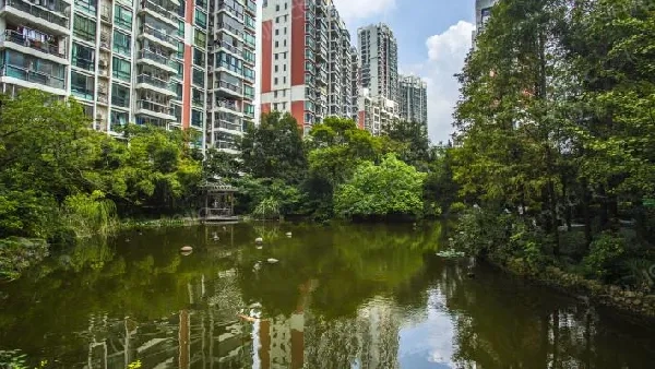 世纪同乐(4)