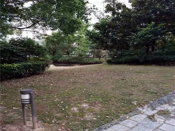 第九城市(3)