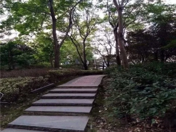 第九城市(4)