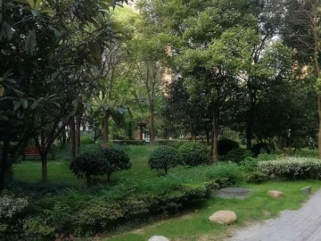 天山星城(3)