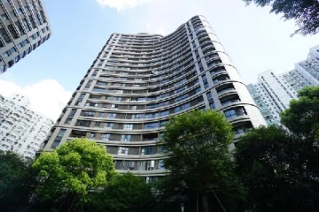 徐汇·中凯城市之光名邸(3)