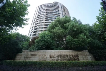 徐汇·中凯城市之光名邸(9)