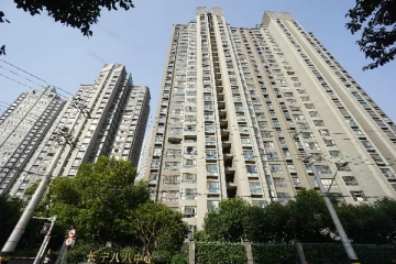 长宁八八金廷