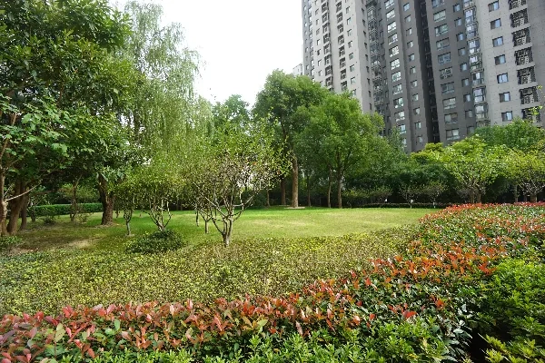 长宁八八金廷(7)