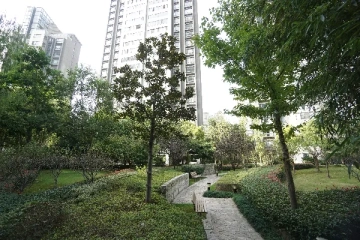 长宁八八金廷(8)