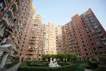 梧桐花园(2)