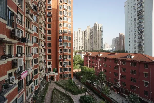 梧桐花园(3)