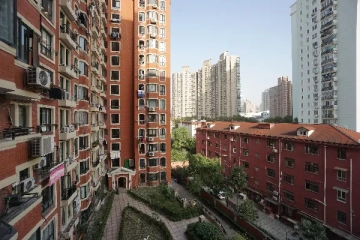 梧桐花园(3)