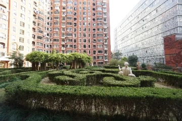 梧桐花园(6)