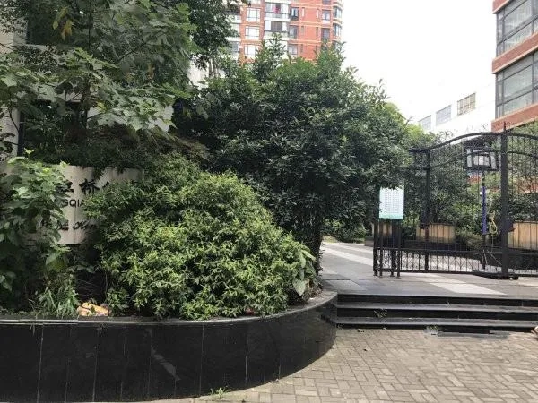 长发虹桥公寓(2)