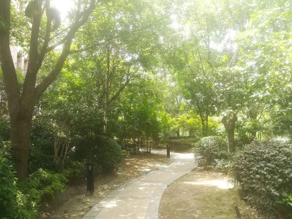 仁恒怡庭(4)