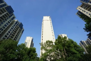 仁恒西郊花园(5)