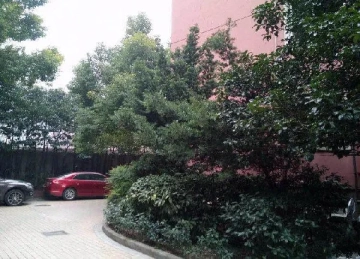 正力公寓(2)