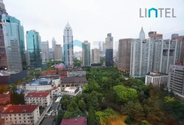巴克拉济南路9号标准一房户型(10)