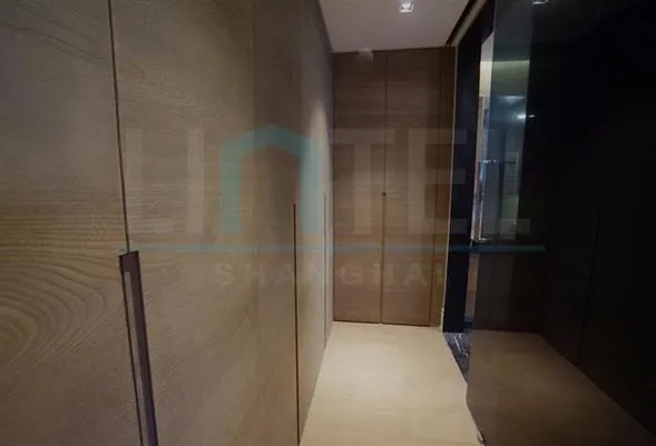 苏河融景大3+1复式(10)